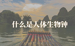 了解下什么是人体生物钟，如何调整生物钟