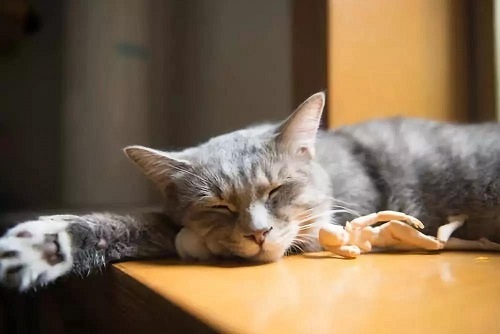 关于睡眠错误的九个知识点，大家需要了解