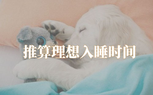 每天晚上睡8小时够吗?《睡眠革命》告诉我们八小时睡眠论不正确