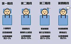 睡眠周期可以分为哪几个阶段呢?